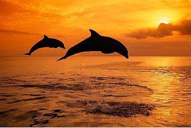 《燕云十六声》精美截图 画面唯美让人沉醉其中